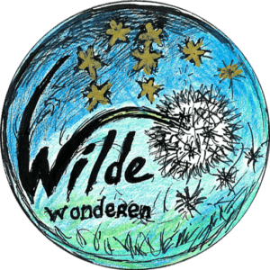 Tekening van het Wilde Wonderen paardenbloem logo